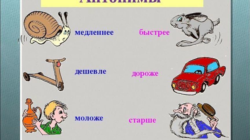 Скоро медленно. Алгоритм определения антонимов. Примеры антонимов а армянском и русском.